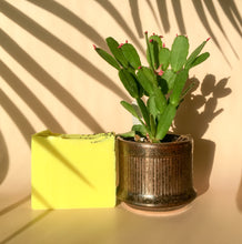 Load image into Gallery viewer, Lime Artisan Soap